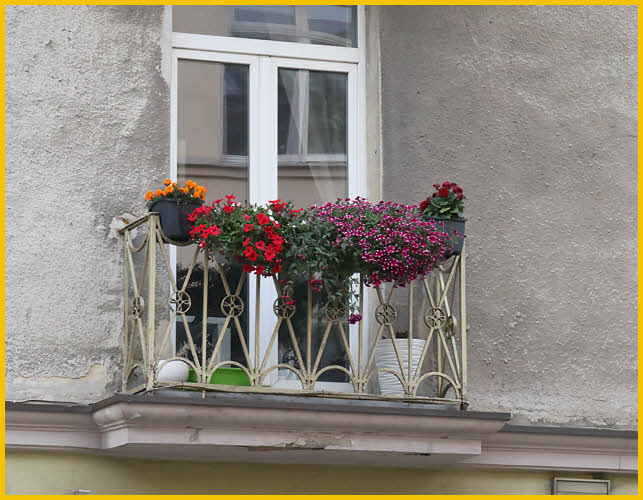 Flowers on Balcony